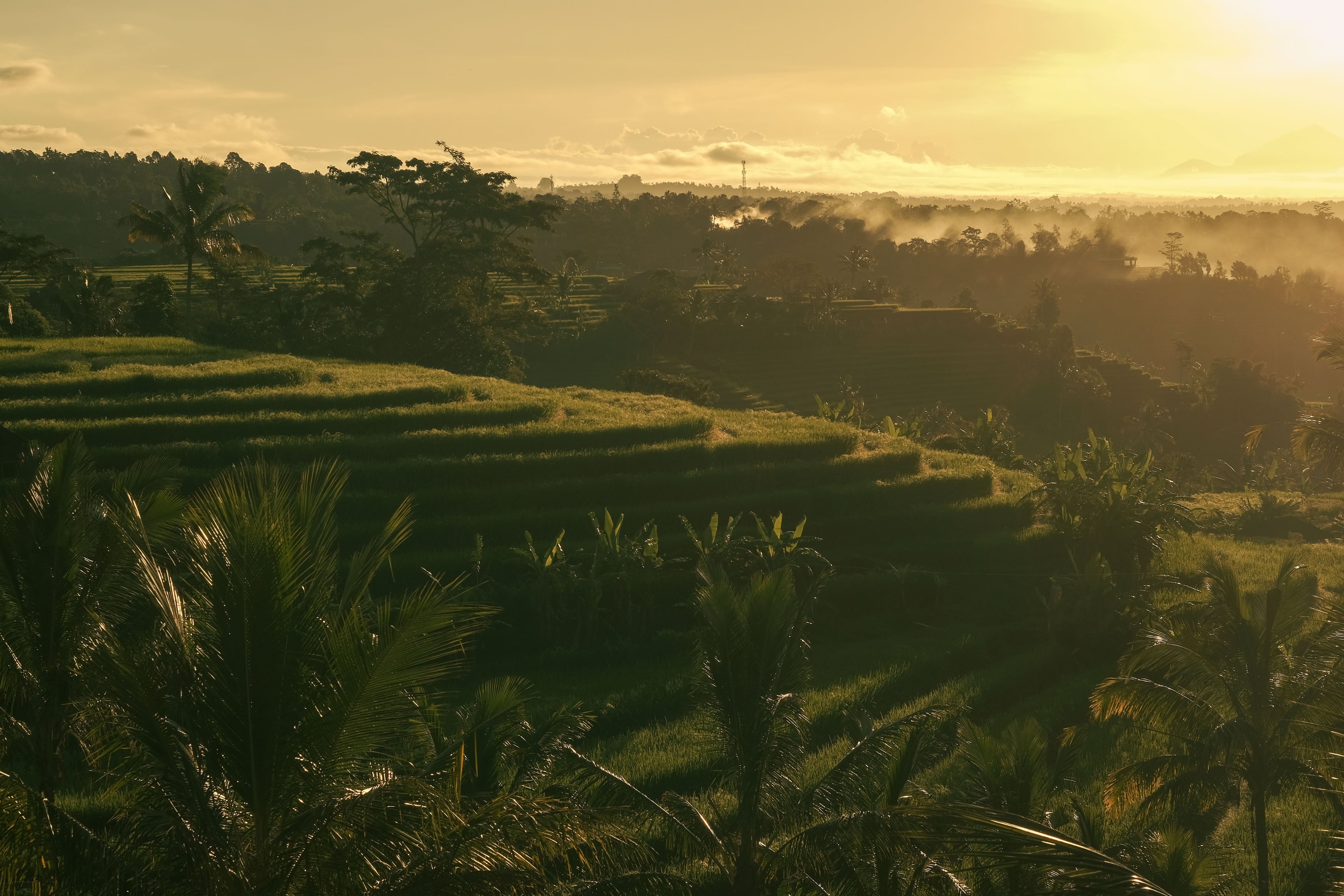 Bali Spirit